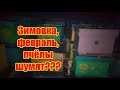 ФЕВРАЛЬ, ЗИМОВКА ПЧЁЛ, ПЧЁЛЫ ВОШЛИ В АКТИВНОЕ СОСТОЯНИЕ, ЧТО ДЕЛАТЬ И КАК ИСПРАВИТЬ?