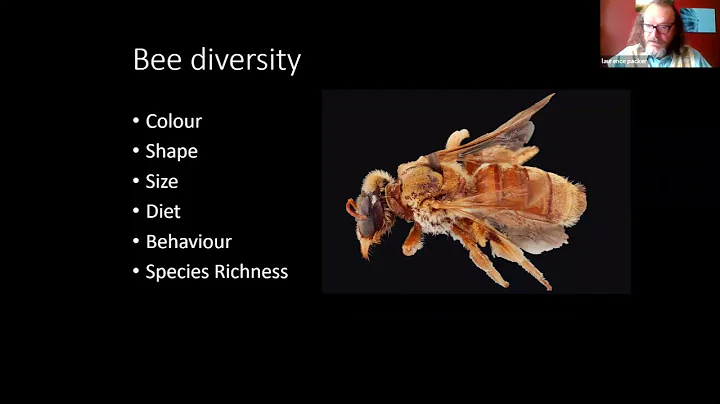 Bee Diversity with Dr. Laurence Packer