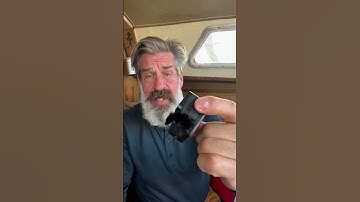 Action Camera Wind Noise Solved!