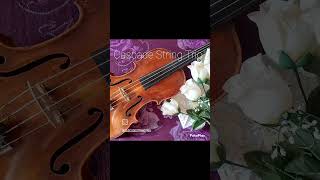 Video 2 thumbnail for Cascade String Trio