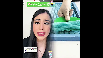 Pov ابو زيزو فايب مسلية أداء ارتباط بوف هزلي فيديو Or 
