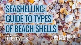Exclusive What the Shell? A Guide to Identifying Common Types of Seashells in the U.S. |Beach Homes Lifestyles Details