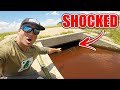 STAGNANT Roadside Drain is LOADED with Fish! (Surprising Catches)