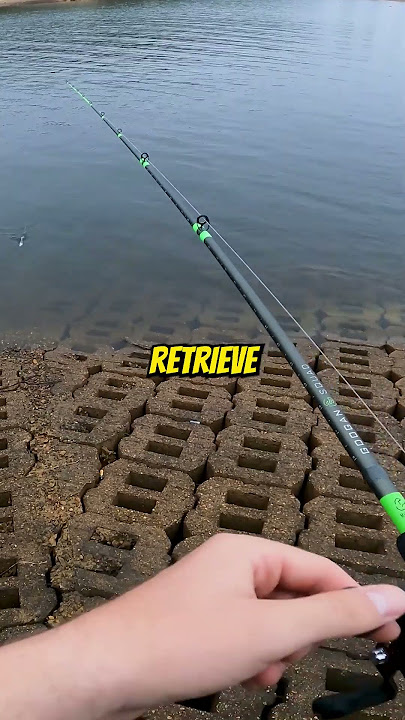 Is the Medium Sinking Hangover Shad Good? #bassfishing #shorts