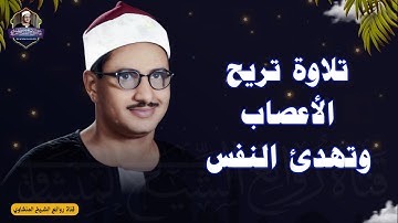 وهي تجري بهم في موج كالجبال | من النوادر العظيمة للشيخ المنشاوي | ماتيسر من سورة هود | نسخة كاملة