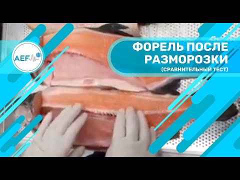 Форель после разморозки, сравнительный тест