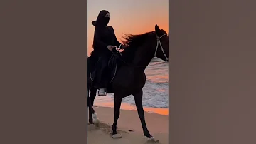 عشقي انا عشق الشيوخ 