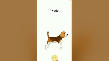 Drop the Item - fail and answer level 142 gameplay  puzzelh #gaming