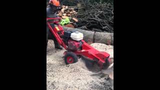 O H Tree Services - Cumbria