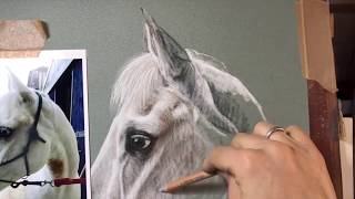 How to draw horses screenshot 5