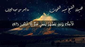 ما تيسر من سورة الزخرف بصوت الشيخ سيد الشحات تلاوة مبكية
