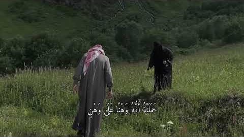 ﴿وَوَصَّينَا الإِنسانَ بِوالِدَيهِ} تلاوة الشيخ ماهر المعيقلي 