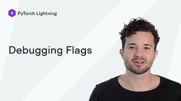 Debugging Lightning Flags