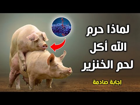 فيديو: هل تدخن الخاصرة لحم الخنزير أجاد؟