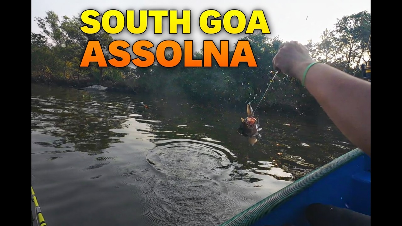 Рыбалка в реке с привидениями 😱 | Гигантский красный окунь | Южный Гоа | Река Ассолна-Сал | Рыбал...