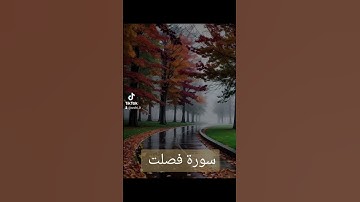 سورة فصلت #دويتو #دعاء #quran #تيك_توك #فولو #لايك #دعاءمستجاب #اكسبلور #duet #ترند