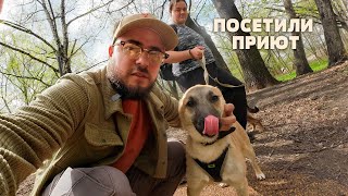 видео: Мы посетили приют для собак и привезли хвостатым угощений картинка: Мы посетили приют для собак и привезли хвостатым угощений