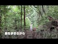 森を歩きながら 木道 より 森を歩きながら 木道 より