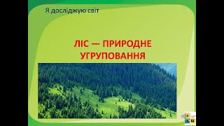 картинка: Урок 49   ЛІС — ПРИРОДНЕ УГРУПОВАННЯ. ЯДС 3 клас автор підручника І.Жаркова