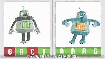My Genome Sequence part 2 - translated into simplified Chinese