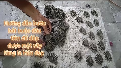 Bước bắt buộc đầu tiên để có một bức phù điêu cây tùng la Hán đẹp