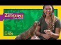 What is a Kinkajou? | Sam's Zookeeper Challenge