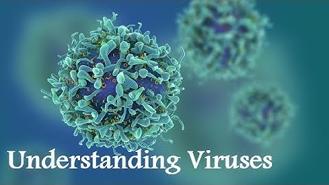 Understanding Viruses BBC Documentary 2017