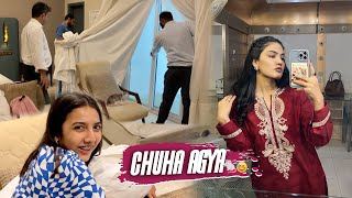 ROOM MAI CHUHA AGYA 🐁 😱 | Zainab Ka Karachi Experience 😅 | ARY Mai Show Recording 🎥