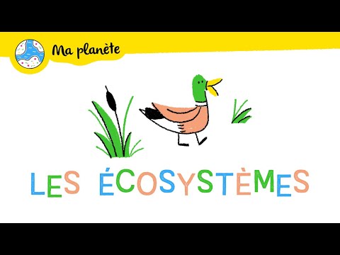 Vidéo: Impact humain sur l'écosystème. écosystèmes artificiels