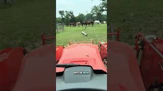 Making a horse arena!