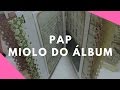 PAP - Miolo de álbum