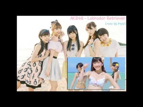 《歌ってみた》 AKB48 - ラブラドール・レトリバ | [cover] AKB48 - Labrador Retriever