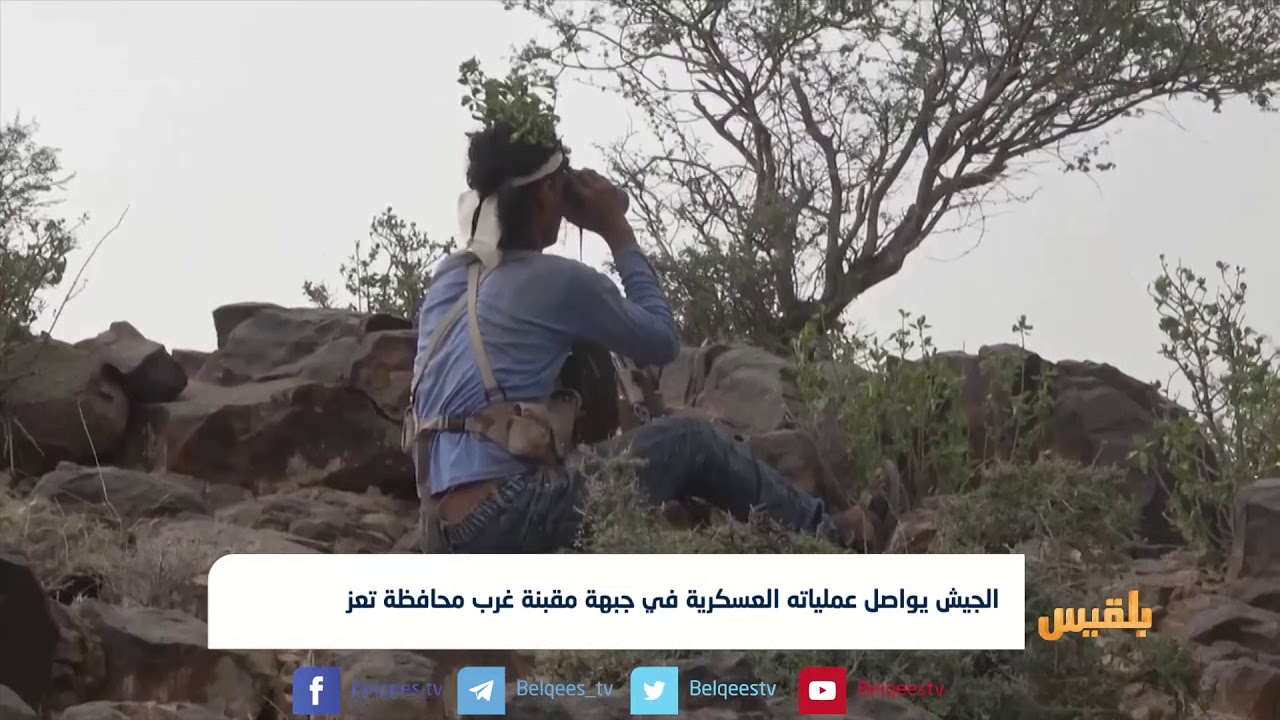 الجيش يواصل عملياته العسكرية في جبهة مقبنة غرب محافظة #تعز| تقرير: ماهر أبوالمجد