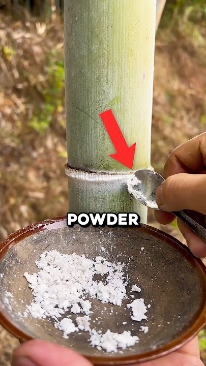 Why Bamboo Frost Is So Expensive 🤯