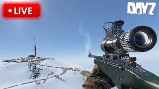 SURVIVING IN DAYZ ( 1440p LIVESTREAM )