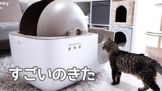 話題の猫用全自動トイレを使ってみたら…【PetSnowyレビュー】