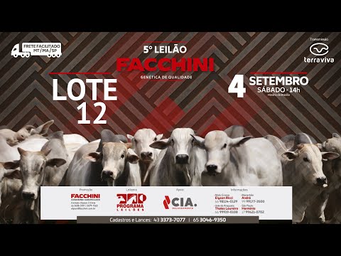 LOTE 12 - 5º LEILÃO FACCHINI 04/09/2021