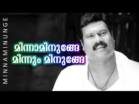 Minnaminunge Minnum Minunge | Kabadi Kabadi | Kalabhavan Mani | Mukesh