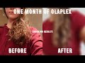 I used Olaplex in my hair for A MONTH and I'm shocked!