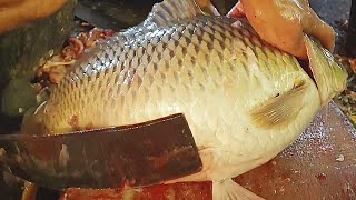 Live Carp Fish Vs Sharp Knife | Big Gravid Fish Cutting | Amazing Fish Cutting Skills