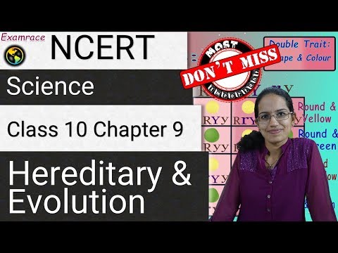 NCERT Class 10 Science Chapter 9: Hereditary and Evolution (Dr. Manishika) | English | CBSE
