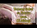 May tamang sukat ba sa pagpapakain sa mga patabaing baboy para makaiwas sa pagkalugi