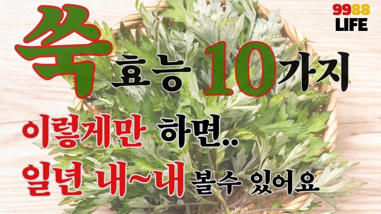 봄철 쑥효능 10가지와 장기보관해 일년 내내 향긋한 쑥국 먹는 방법 - YouTube
