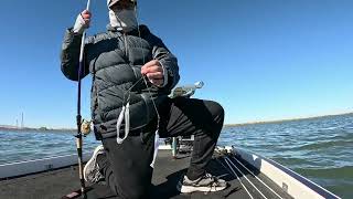 Trilogy of Terror.  Stripers/Striped Bass Fishing on the California Delta.  No big ones but was fun!