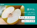 【2025年夏ギフト】白岡の幸水梨