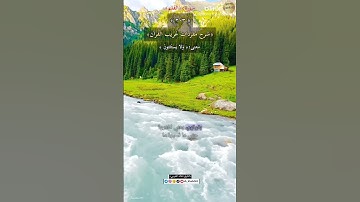 معنى كلمة :(ولايستثنون)٢٠٣-شرح مفردات غريب القرآن/سورة القلم ،الشيخ خالد الحرمي.