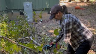 Clearing of trees around the Abandoned house we bought!