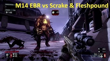 Killing Floor 2 - M14EBR vs Scrake & Fleshpound - Suicid Mode