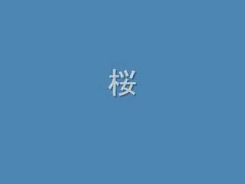 桜　コブクロ