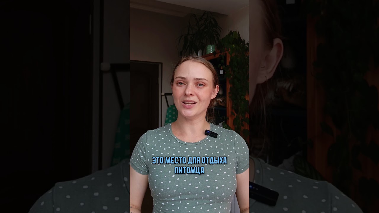 Что такое Pet-friendly дом? 🫶